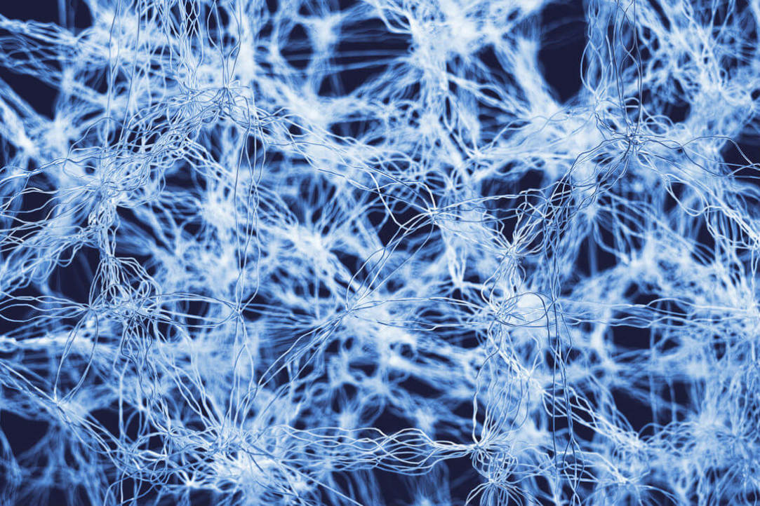 Study Finds GABA Cells Help Fight Alcoholism Illustration for news: Study Finds GABA Cells Help Fight Alcoholism