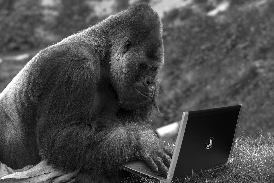 Scholars Provide Monkeys with a Virtual Hand Illustration for news: Scholars Provide Monkeys with a Virtual Hand