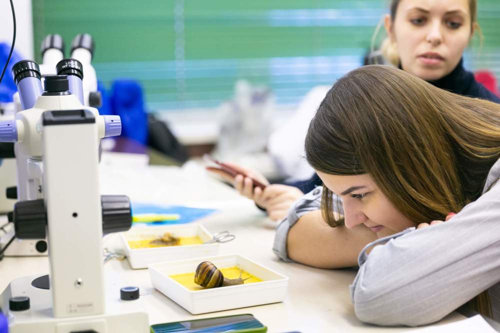 The Sooner You Try to Make a Scientific Contribution, the Sooner You Will Manage to Do So Illustration for news: The Sooner You Try to Make a Scientific Contribution, the Sooner You Will Manage to Do So
