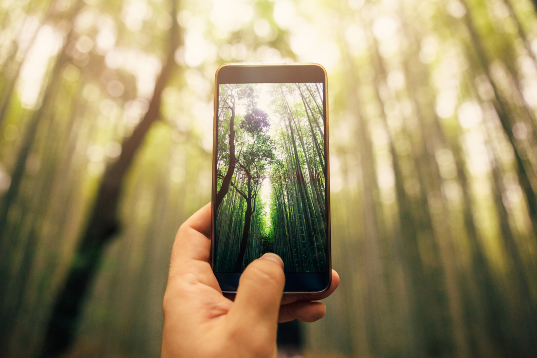 HSE University Researchers Propose Algorithm to Determine Preferences of Smartphone Users Illustration for news: HSE University Researchers Propose Algorithm to Determine Preferences of Smartphone Users