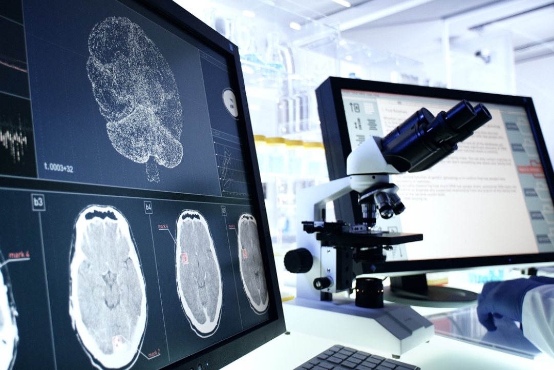Russian Scientists Propose New Method of Studying Cognitive Dissonance Illustration for news: Russian Scientists Propose New Method of Studying Cognitive Dissonance
